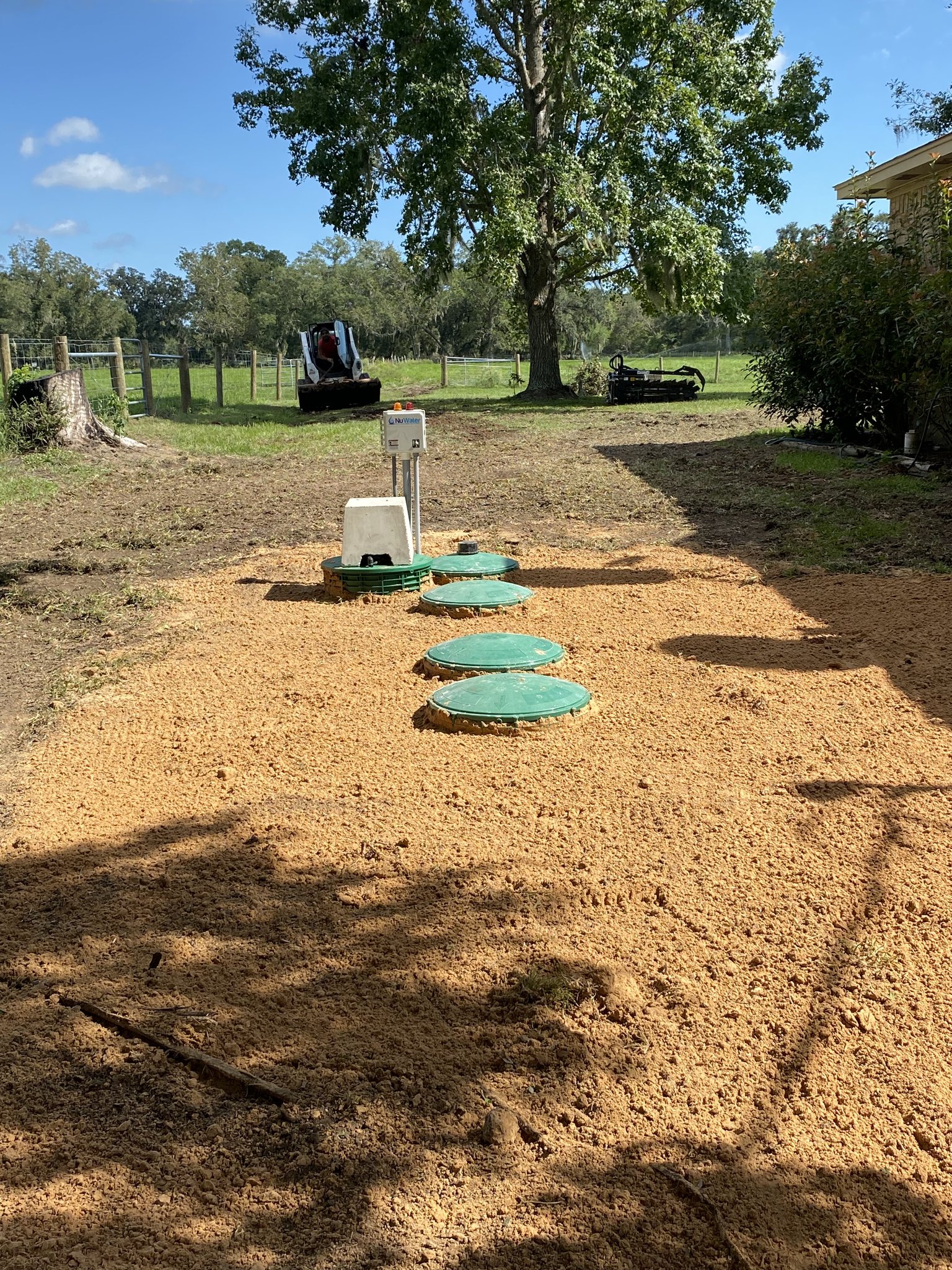 Four green septic tank lids installed in succession on rural residential property with large tree